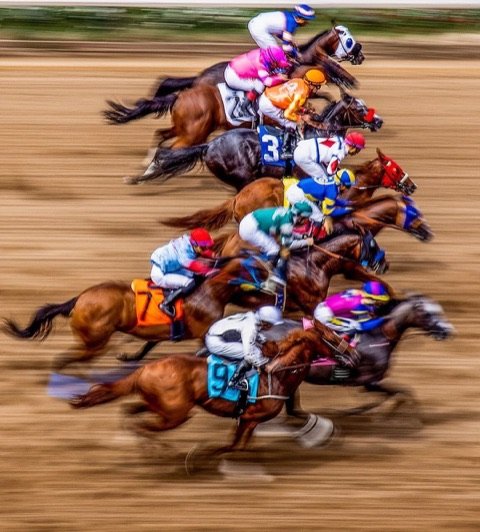 Racehorses and jockeys at full gallop